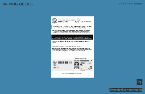 USA Illinois Beispiel für einen vorläufigen Führerschein